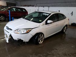 Ford Focus SE salvage cars for sale: 2013 Ford Focus SE