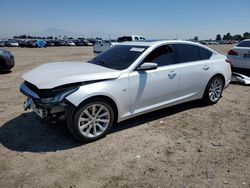 Salvage cars for sale from Copart Bakersfield, CA: 2022 Cadillac CT5 Luxury