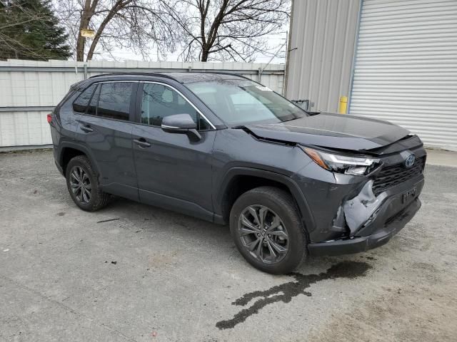 2024 Toyota Rav4 XLE Premium