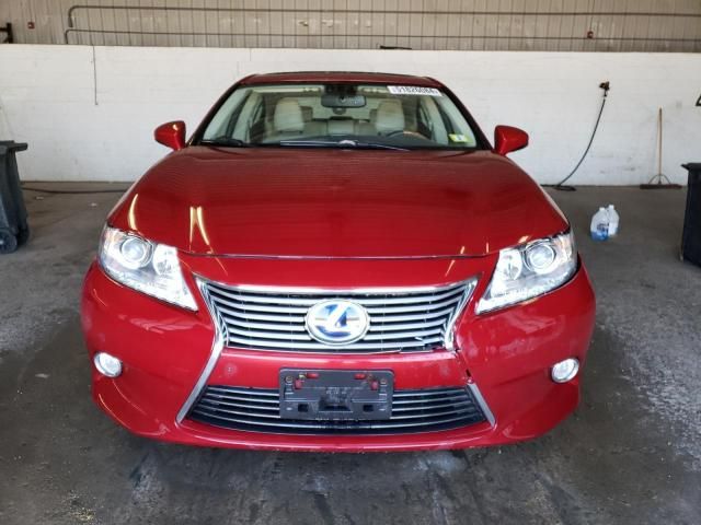 2013 Lexus ES 300H