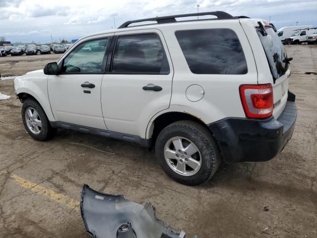 2011 Ford Escape XLT