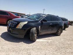 2012 Cadillac SRX Luxury Collection for sale in Andrews, TX