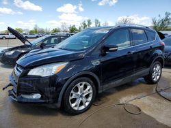 2016 Ford Escape Titanium for sale in Bridgeton, MO