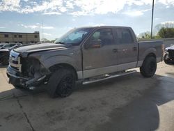 Ford salvage cars for sale: 2013 Ford F150 Supercrew