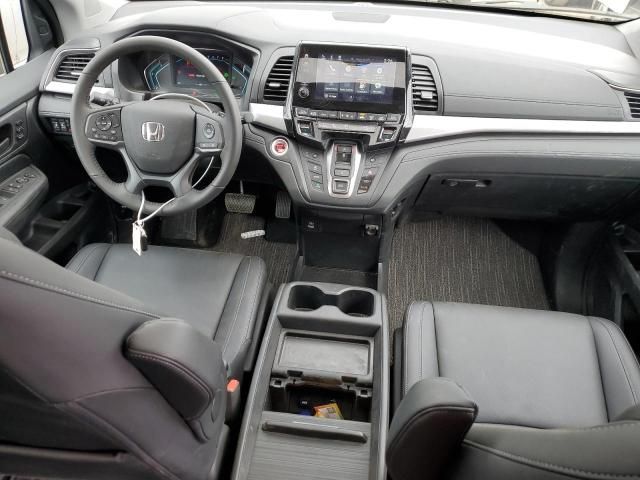 2024 Honda Odyssey EXL