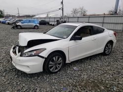 2011 Honda Accord EXL en venta en Windsor, NJ