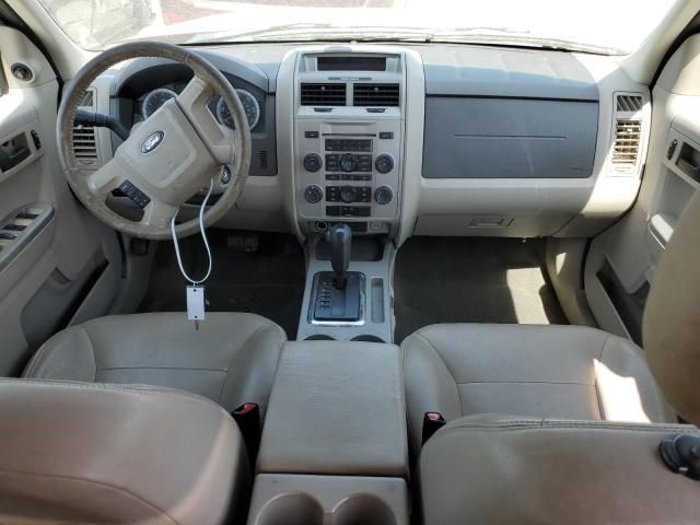 2008 Ford Escape XLT