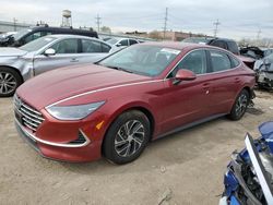 Hyundai Sonata Hybrid salvage cars for sale: 2023 Hyundai Sonata Hybrid