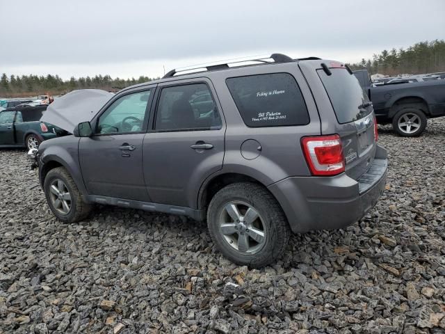 2011 Ford Escape Limited