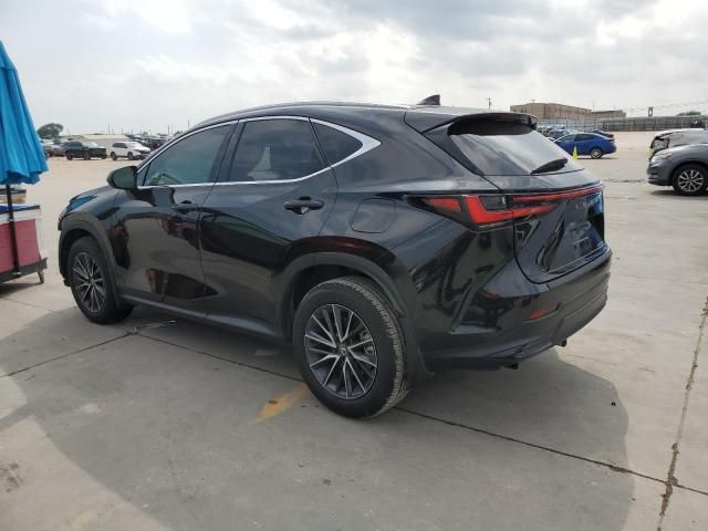 2024 Lexus NX 250 Premium