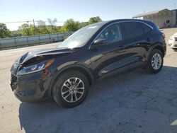 Ford salvage cars for sale: 2021 Ford Escape SE