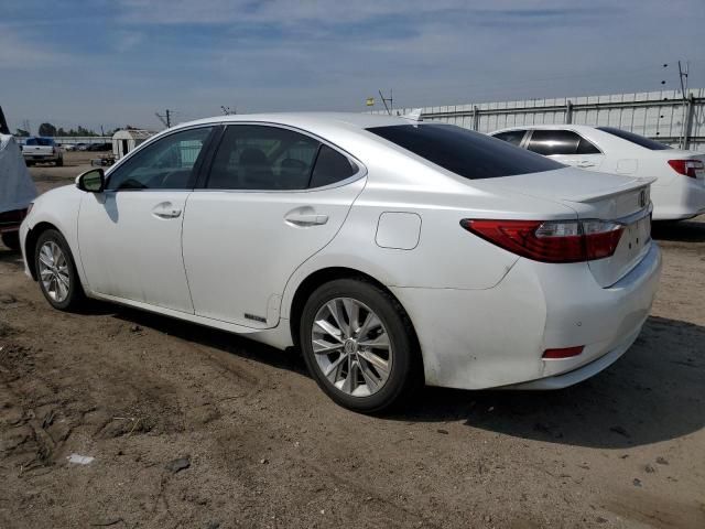 2014 Lexus ES 300H