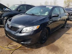 Toyota salvage cars for sale: 2010 Toyota Corolla Base