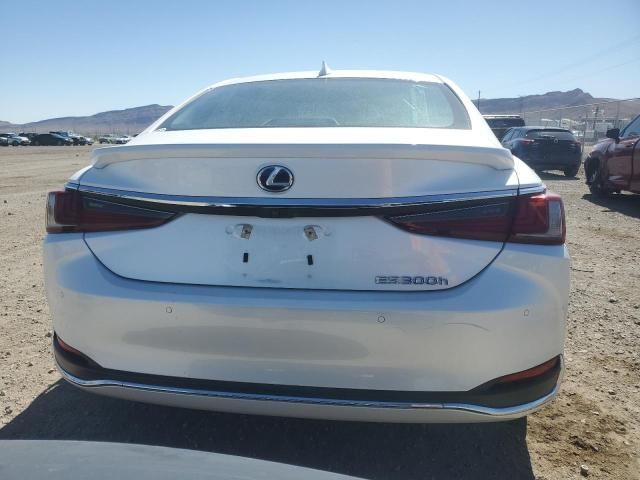 2019 Lexus ES 300H