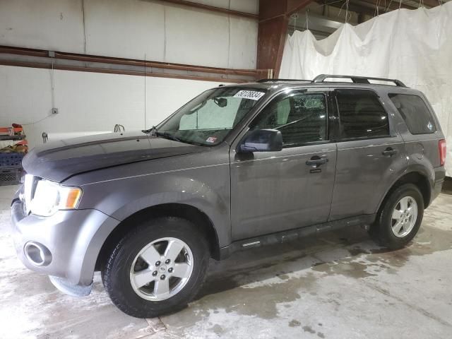 2011 Ford Escape XLT