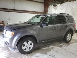 Salvage cars for sale from Copart Leroy, NY: 2011 Ford Escape XLT