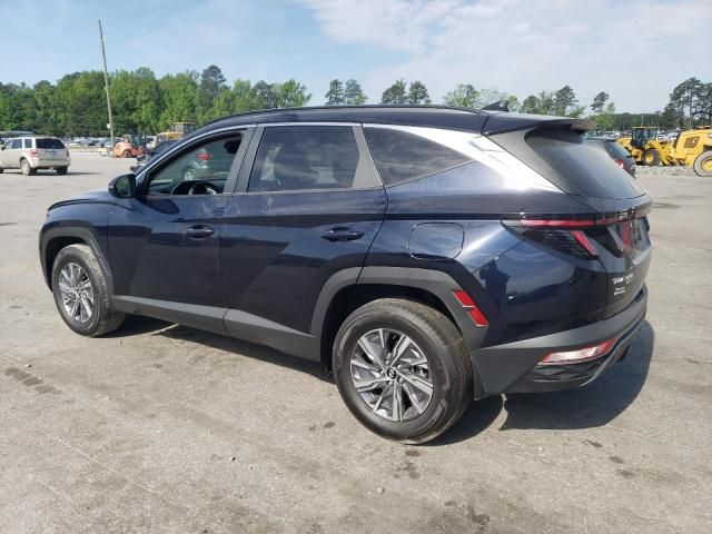 2023 Hyundai Tucson Blue