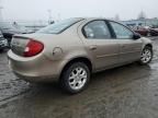 2000 Dodge Neon Base