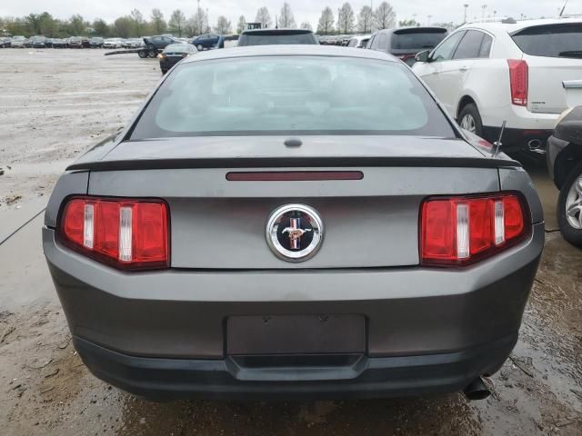 2010 Ford Mustang