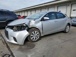 2014 Toyota Corolla L for sale in Louisville, KY