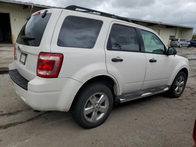 2009 Ford Escape XLT