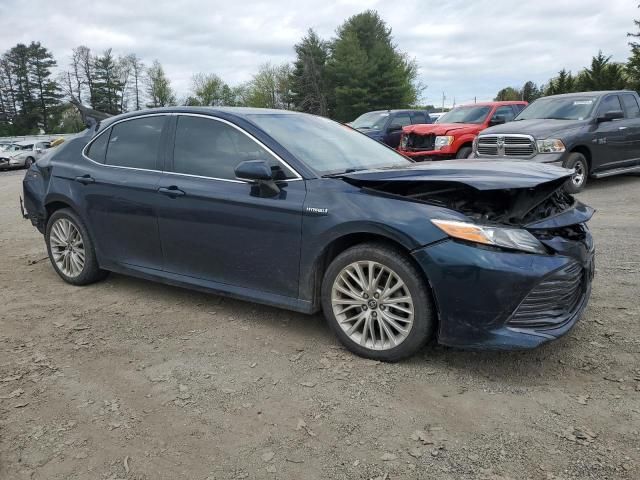 2019 Toyota Camry Hybrid