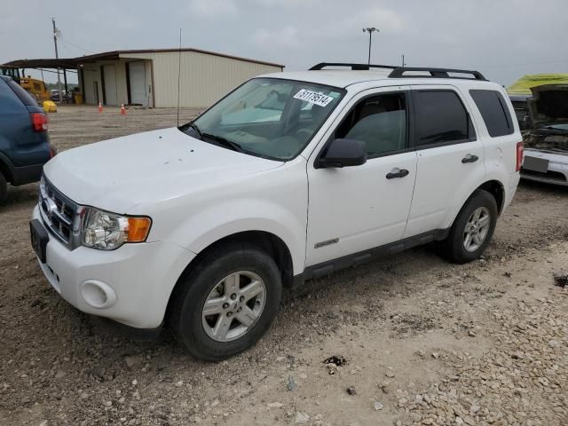 2008 Ford Escape HEV