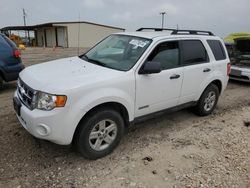 2008 Ford Escape HEV for sale in Temple, TX