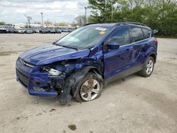Ford Escape se salvage cars for sale: 2013 Ford Escape SE