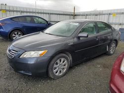Salvage cars for sale from Copart Arlington, WA: 2007 Toyota Camry Hybrid