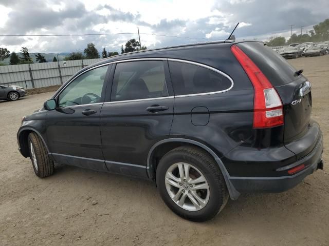 2010 Honda CR-V EXL