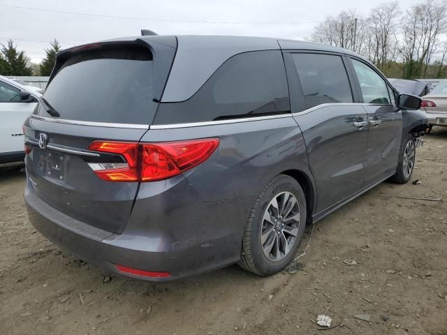 2024 Honda Odyssey EXL