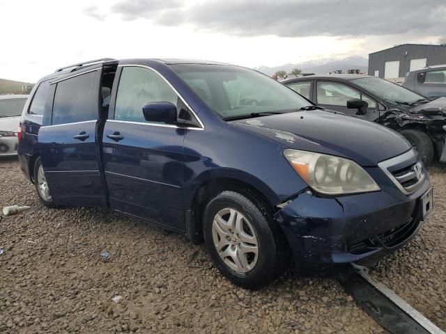 2005 Honda Odyssey EXL