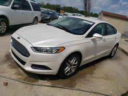 2013 Ford Fusion SE en venta en Louisville, KY