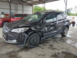 Ford Escape Titanium salvage cars for sale: 2013 Ford Escape Titanium