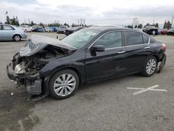 Honda Accord ex Vehiculos salvage en venta: 2014 Honda Accord EX