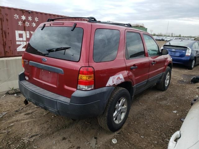 2006 Ford Escape XLT