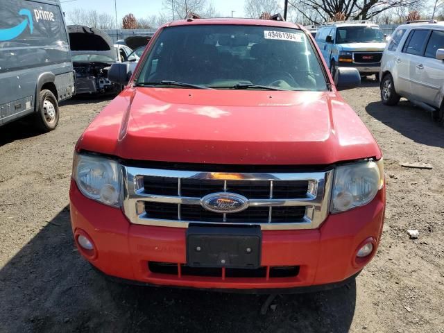 2009 Ford Escape XLT