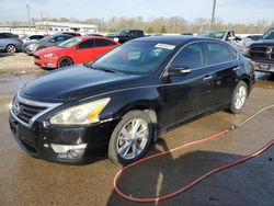 2015 Nissan Altima 2.5 for sale in Louisville, KY