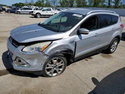 2014 Ford Escape Titanium en venta en Bridgeton, MO