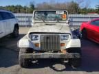 1991 Jeep Wrangler / YJ S