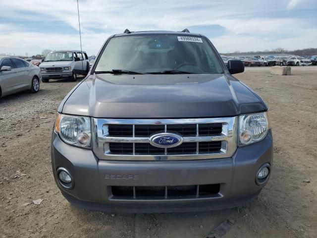 2011 Ford Escape XLT