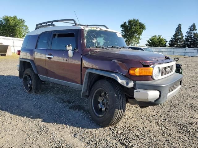 2007 Toyota FJ Cruiser