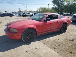 Ford Vehiculos salvage en venta: 2005 Ford Mustang