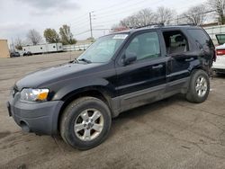 2007 Ford Escape XLT for sale in Moraine, OH