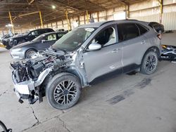 Vehiculos salvage en venta de Copart Phoenix, AZ: 2020 Ford Escape SEL