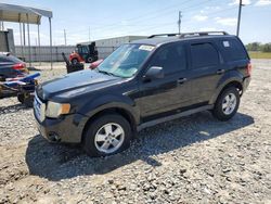 2011 Ford Escape XLT for sale in Tifton, GA