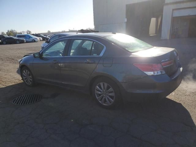 2011 Honda Accord EXL