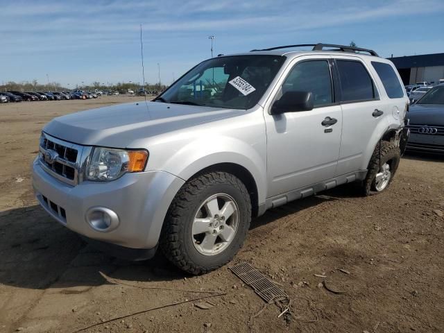 2011 Ford Escape XLT