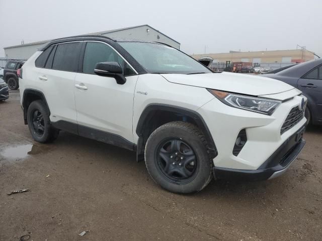 2019 Toyota Rav4 XLE